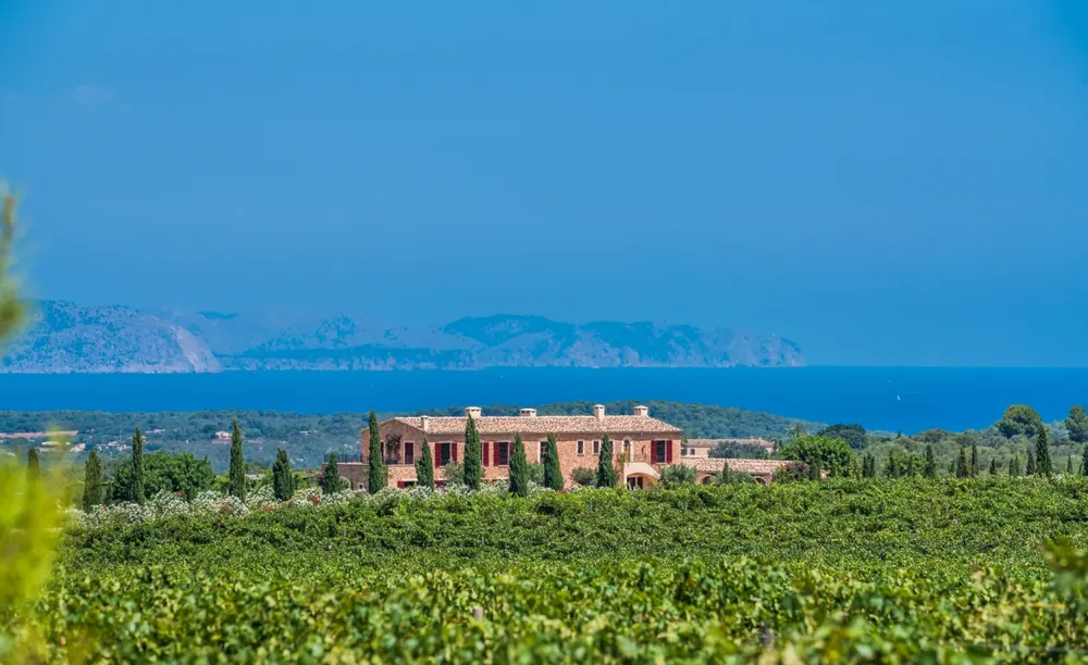 Finca surrounded by vineyards with sea view, a Palmer & Partners project in Petra