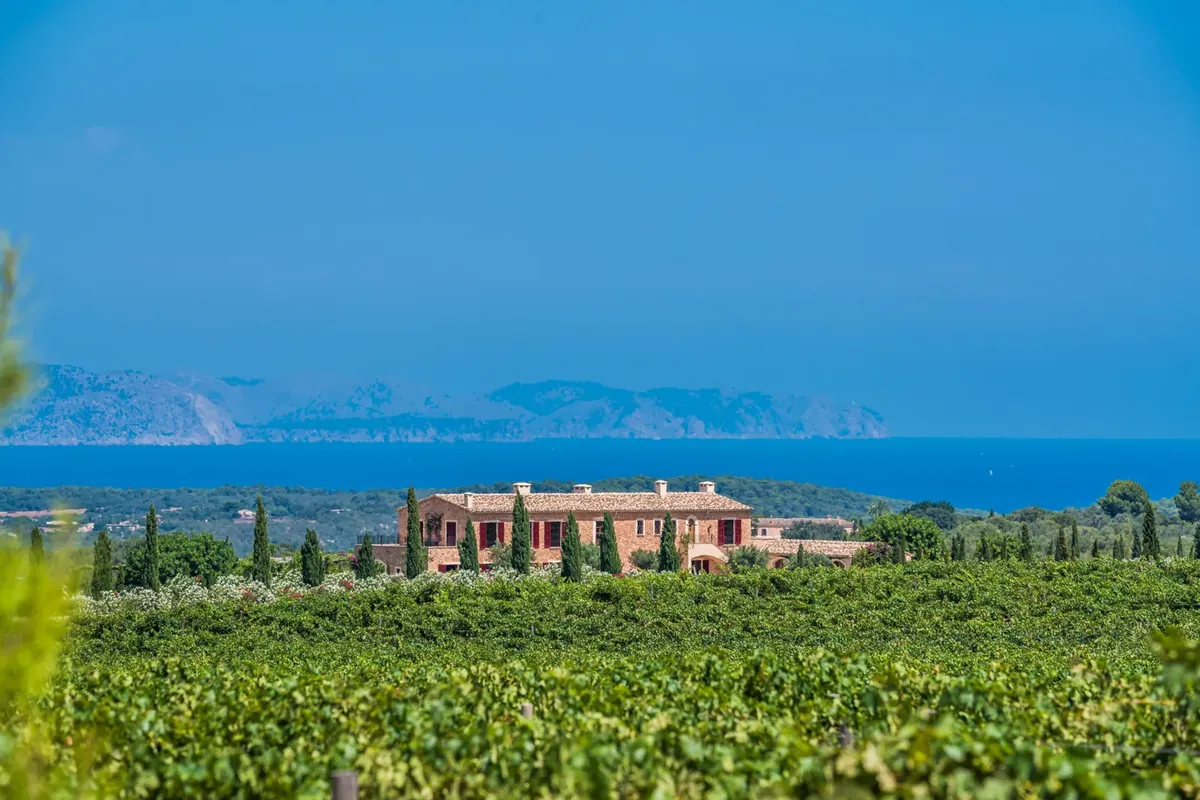 Finca Petra 1