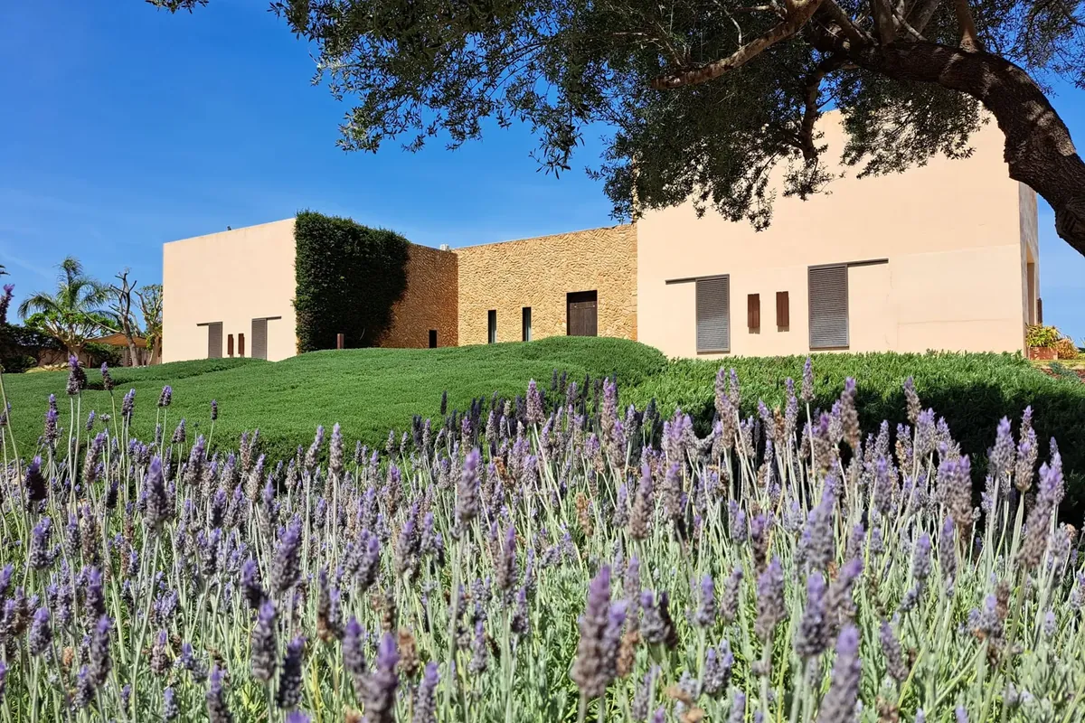 Manacor finca 1