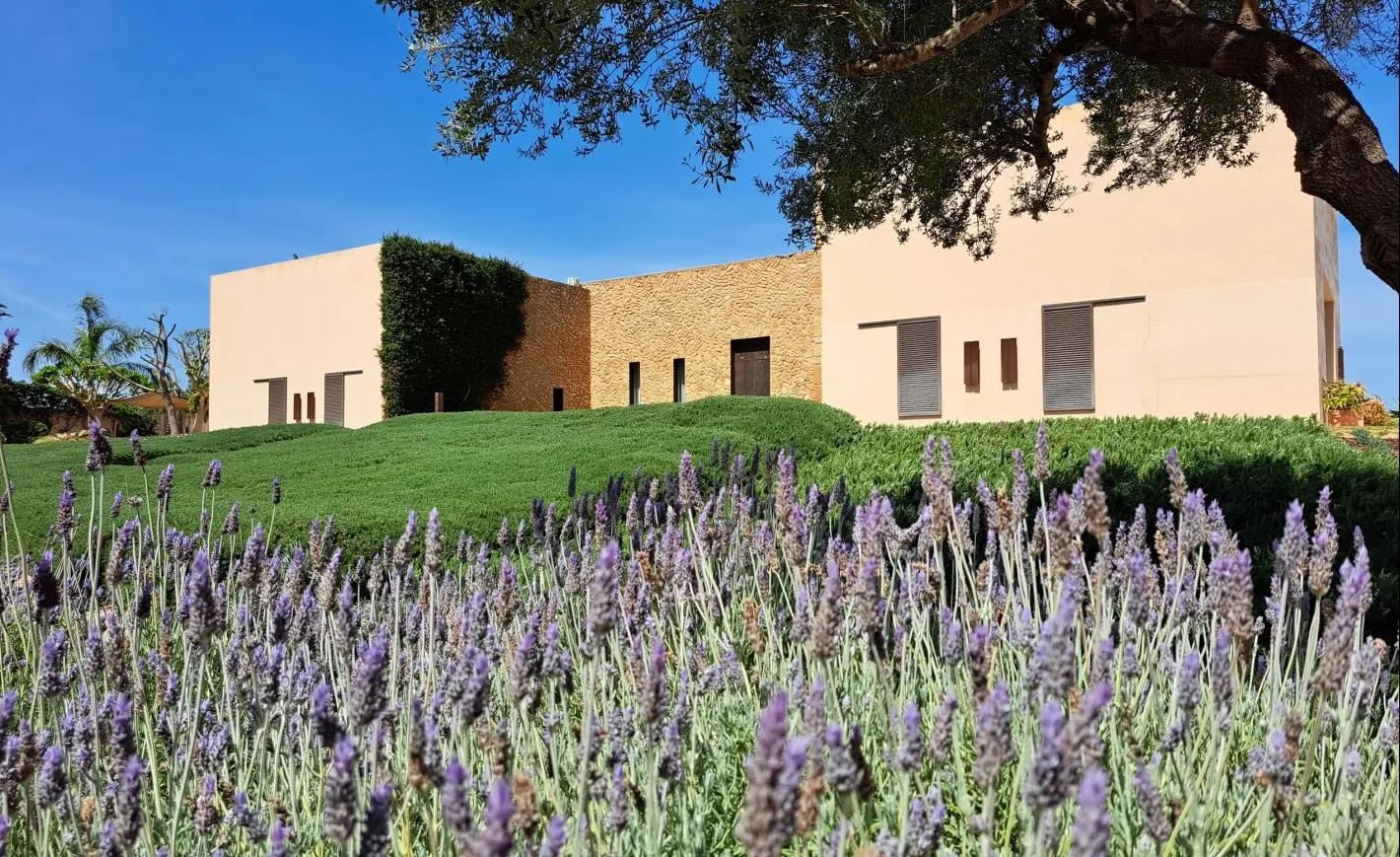 Finca with a lavender garden near Manacor